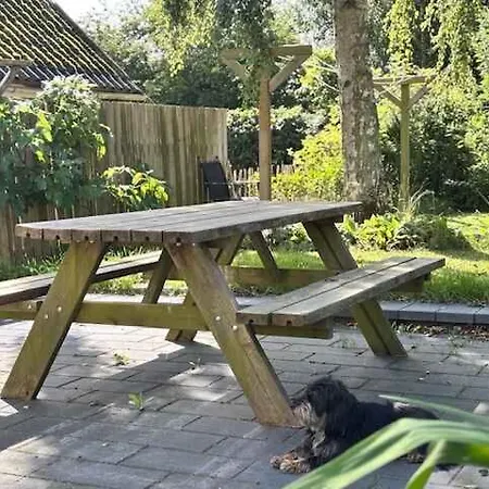 Cozy Little House In The Countryside *